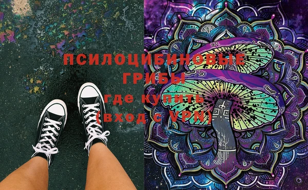 дмт Киреевск