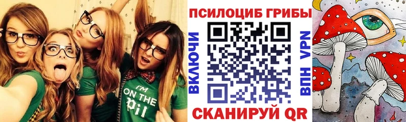 Псилоцибиновые грибы Magic Shrooms  Домодедово 