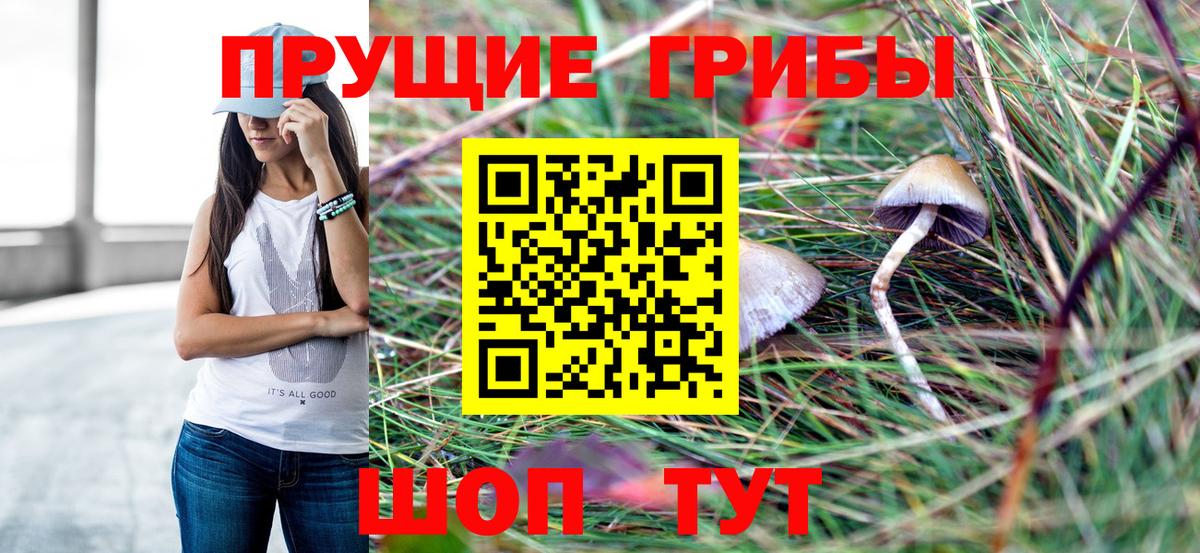 Псилоцибиновые грибы Magic Shrooms  продажа наркотиков  Домодедово  Вход с VPN  Псилоцибиновые грибы ЛСД 